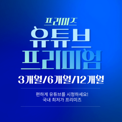  유튜브 프리미엄+유튜브 뮤직/월2 500원/3개월/6개월/8개월/12개월, 12개월, 0 