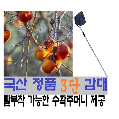 국산 감대 과일따개 연결대 3단 장대 감망 감따개 과일수확기 리뷰 후기