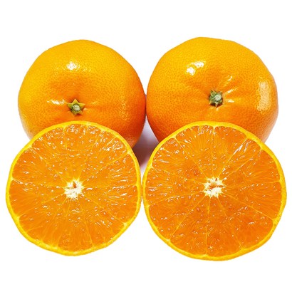 [제주의맛] 새콤달콤 천혜향 산지직송 선물용 가정용