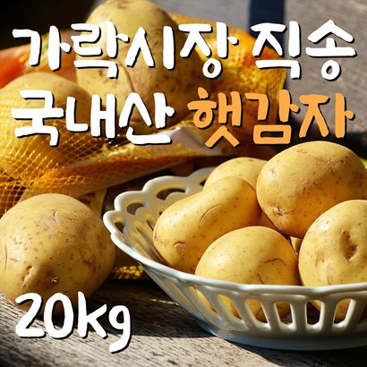 [당일가락시장경매] 국내산 감자 포슬 햇감자 수미감자 두백감자 저장감자