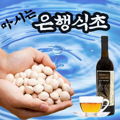 비바채 내몸에 약이 되는 마시는 은행 열매 천연 발효 식초 징코청 리뷰후기