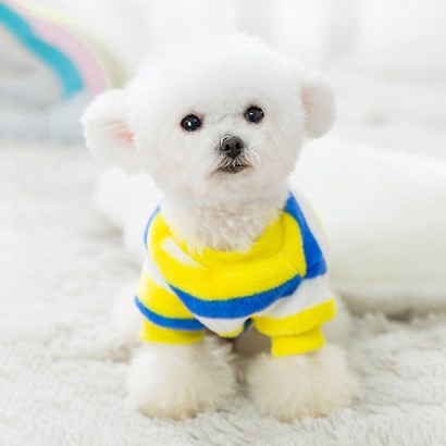 톰앤토미e 강아지 옷 따듯한 극세사 부드러운 기모 티셔츠 실내복 수면옷 - 티셔츠 리뷰후기