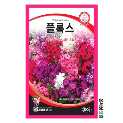 플록스꽃 씨앗 300립 / 꽃씨 키우기 화단가꾸기