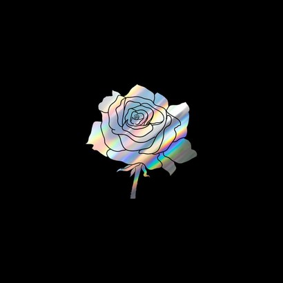 자동차포인트 00736 검은 장미 튜닝스티커
