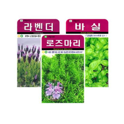 화분월드 허브씨앗 3종세트 리뷰후기