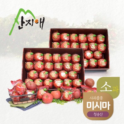 [산지애] 어린이 씻어나온 사과 미시마  2박스 리뷰후기