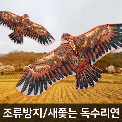세원비닐 대형연 농작물보 방울 독수리연