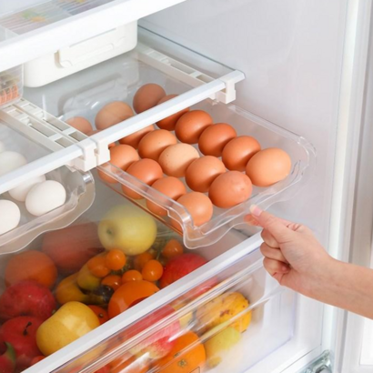 정월나나 냉장고 설치형 간편 계란 트레이 보관함