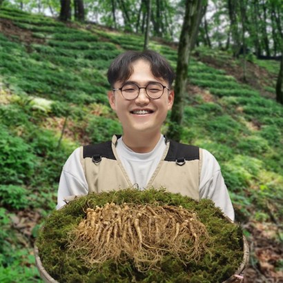 도담산삼 6년근 산양삼 산양산삼 장뇌삼 산삼 9-10년근 7뿌리 1개 - 인삼/수삼/장뇌삼 리뷰후기
