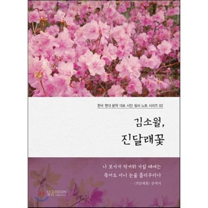 김소월 진달래꽃, 달곰미디어, 김소월 원저/달곰미디어 기획팀 기획/신미희 편