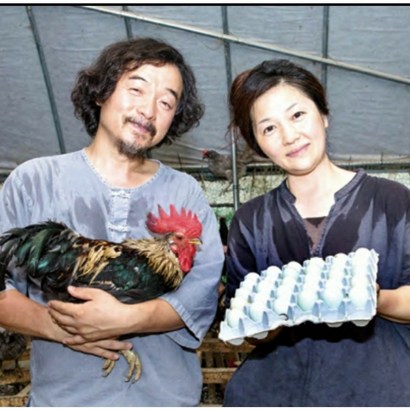 자연을 품은 청계란 난각1번 유정란 40구 금강산 금강초계 청란 원조의 품격 어떤 방사 30년 약초로 조성된 넓은 초원과 발효사료와 기능성물로 고급화되고 무농약 무항생제 주변환경, 20구, 1개