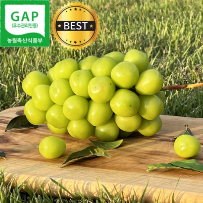 [고급박스포장] 산지직송 초고당도 특등품 샤인머스켓   리뷰 후기