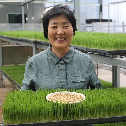 새싹보리 재배용 씨앗 친환경 무농약 집에서 키우기 좋은 식물 도시 농업 베란다 텃밭