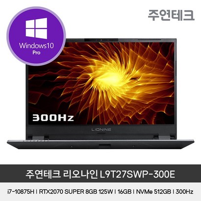 [WIN10프로]주연테크 리오나인 9T27SW_300E 173