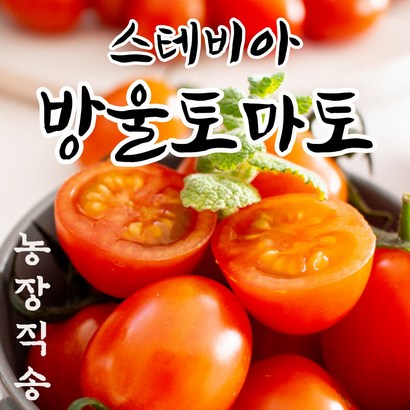 프리미엄 설탕 토마토 스테비아 고당도 과일 대추 컬러 방울토마토 토망고