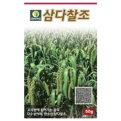 삼다찰조  다농 - 채소씨앗 리뷰후기
