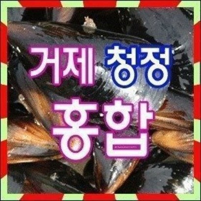 거제청정 홍합  당일채취