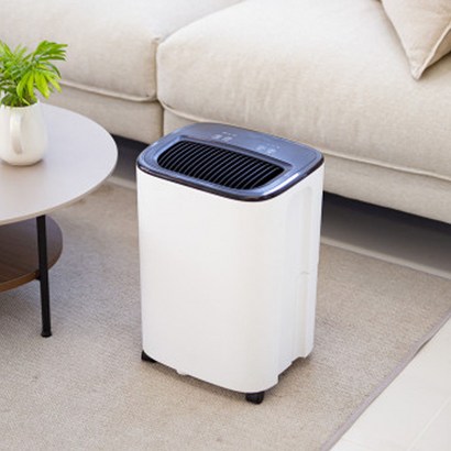 윈세이 인버터 방하나 공기청정 제습기 10L W10LA