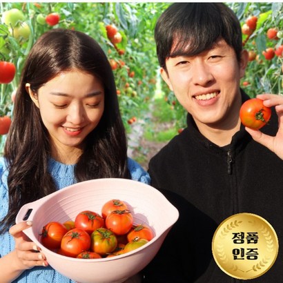 [토마토부부] 대저토마토 부산 농장직송 최상