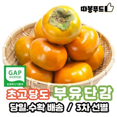 [당일수확당일배송] GAP인증 백화점납품용 초고당도 부유 단감 햇단감 리뷰후기