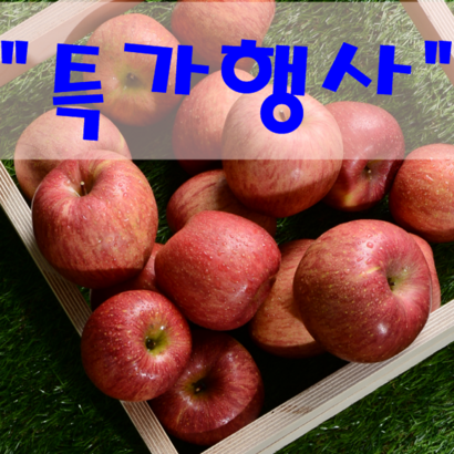 청송 꿀 사과 리뷰후기