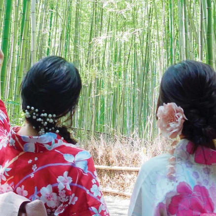 [오사카] [충전Wi-Fi] 오사카 1호선 여우신사 아라시야마 금각사 청수사 교토일일버스투어 와쿠와쿠