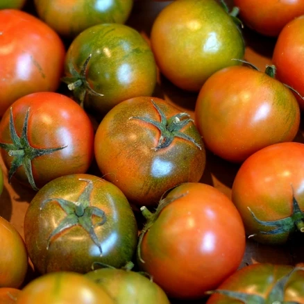 최고급농법 11brix 고당도 짭짤이 끝판왕 대저토마토, 1세트, 옵션1-정품1kg(M과)