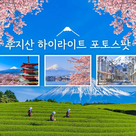 [일본 도쿄] ★1명도 무조건 출발★ 후지산 하이라이트 포토 스팟 당일 여행 [A코스]