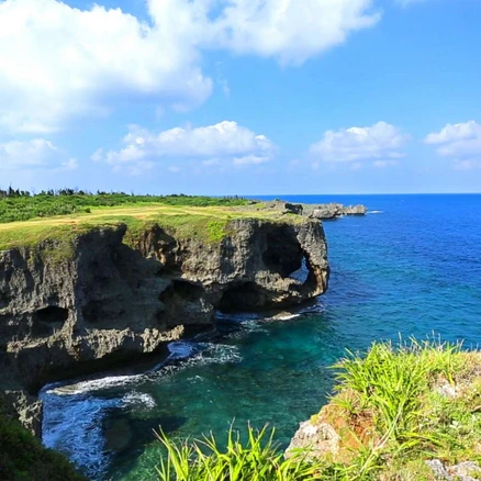 [일본 오키나와] 하루하루투어 오키나와 북부 일일 버스투어 한국인가이드 1명부터 출발확정 츄라우미포함