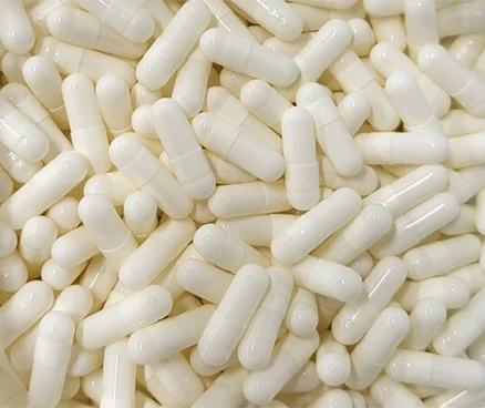 코담 젤라틴 공캡슐 알약 백색 약100개 식약처허가, 1세트, 100mg