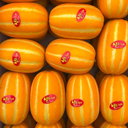 당도선별 고당도 성주 참외 가정용, 1박스, 2kg(꼬마)