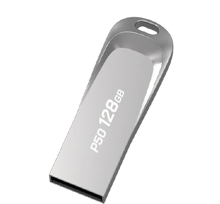 PLEIGO USB 메모리 P50, 128GB, 1개
