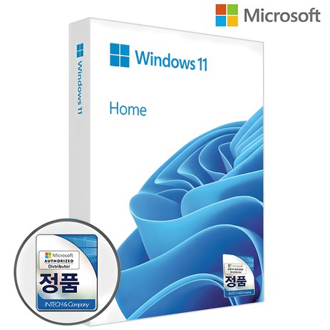 마이크로소프트 Windows 11 Home FPP USB, 1개-추천-상품