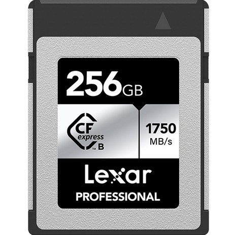 렉사 Professional CFexpress Type B SILVER 메모리카드, 256GB-추천-상품