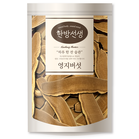 한방선생 절단 영지버섯, 200g, 1개-추천-상품