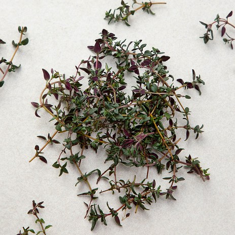 국내산 타임, 10g, 1개-추천-상품