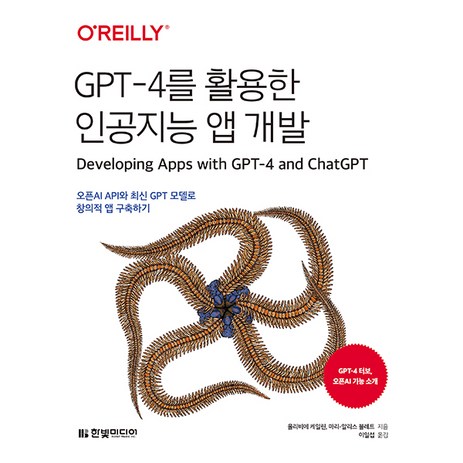 GPT-4를 활용한 인공지능 앱 개발:오픈AI API와 최신 GPT 모델로 창의적 앱 구축하기, 한빛미디어, 올리비에 케일린, 마리 알리스 블레트-추천-상품