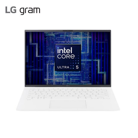 LG전자 그램 14 코어 울트라5 인텔 Arc, 에센스 화이트, 1TB, 16GB, WIN11 Home, 14Z90S-GA5PK-추천-상품