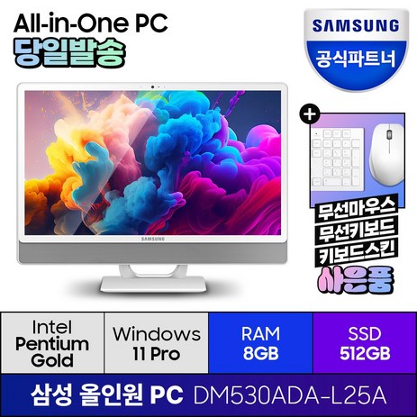 삼성전자 올인원 일체형 PC 프로스트 화이트 DM530ADA-L25A (펜티엄골드 7505 60.5cm WIN11 Pro) 기업용 사무용 학습용, RAM 8GB + SSD 512GB-추천-상품