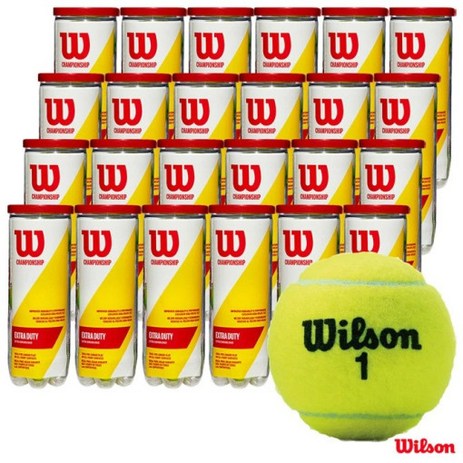 윌슨 테니스공 챔피언쉽 엑스트라 듀티 3구입, 24개, 테니스공 72개-추천-상품