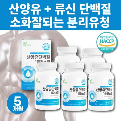 소화잘되는 분리유청 단백질 웨이프로틴 엠비피 MBP 고단백 BCAA 류신 단백질 보충제 프로테인 아미노산 밀크칼슘 프로틴 WPI 카제인단백질 단백질보충제 고단백질 식품 유청단백-추천-상품