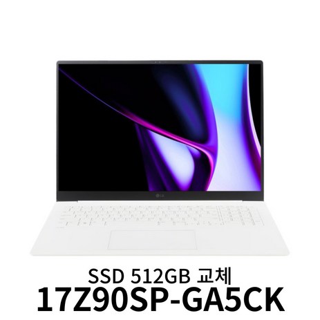 LG전자 그램 프로17 17Z90SP-GA5CK + SSD 512GB 교체 3S, WIN11 Home, 16GB, 256GB, 스노우 화이트-추천-상품