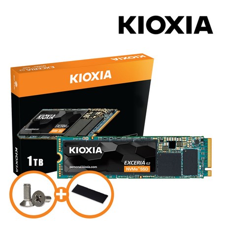 키오시아 EXCERIA G2 M.2 NVMeTM SSD + NVMe 방열판, 1TB, RC50250G00-추천-상품