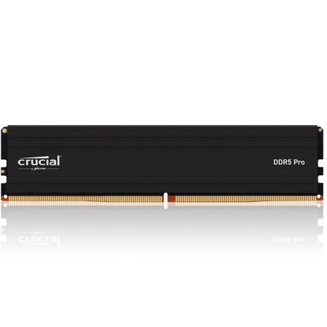 마이크론 Crucial DDR5-5600 CL46 PRO 아스크텍 (16GB), 1개-추천-상품