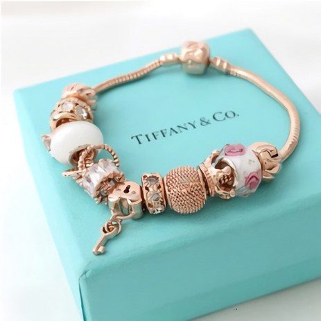 판도라팔찌 판도라참 뱅글 브레이슬릿 체인 레이닝-추천-상품