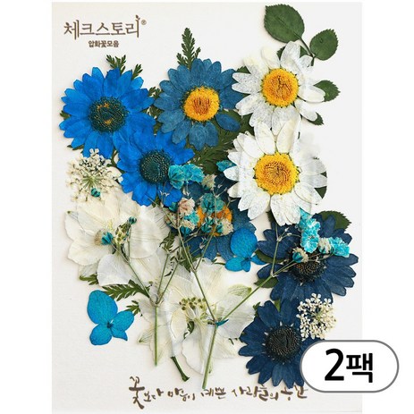 체크스토리 압화 컬러믹스 꽃모음 압화공예 2팩, 블루-추천-상품