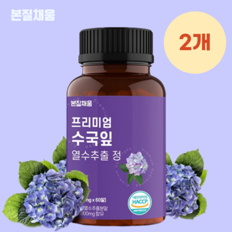 본질채움 프리미엄 수국잎 열수 추출 정 1000mg, 60정, 2개-추천-상품