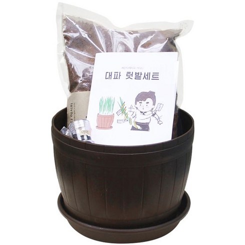 베란다레시피 쉐프의 키친가든세트 대파 텃밭세트, 1세트