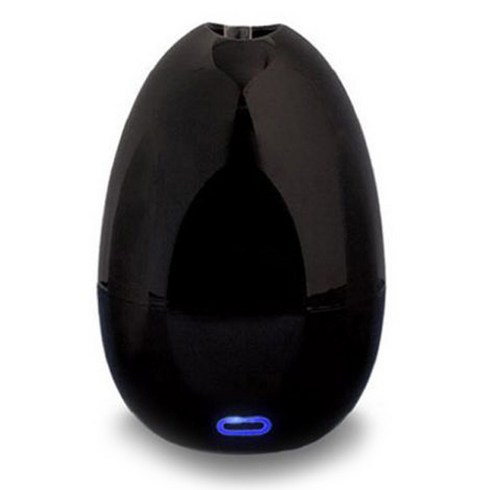 Link 개인/탁상용 UV 칫솔살균기 Bobo, 블랙(Black), L-S200