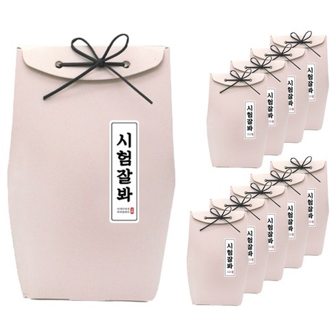 도나앤데코 끌레르 선물백 중사이즈 10p + 끈 10p 연핑크 + 시험잘봐 2 x 7 cm 라운드사각 세로형 스티커 10p, 혼합 색상, 1세트